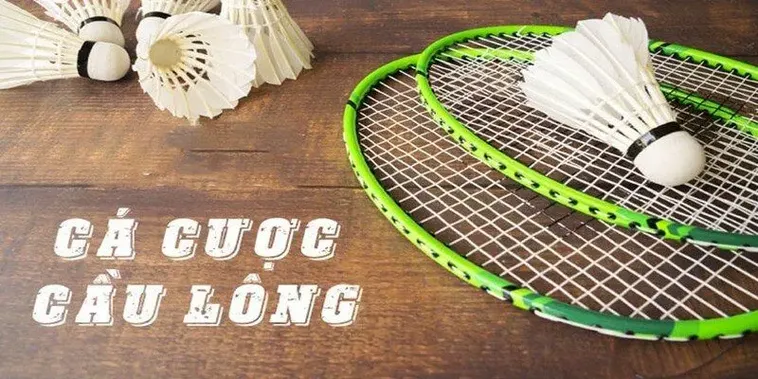 Bí Quyết Chinh Phục Cá Cược Cầu Lông Tại 98WIN