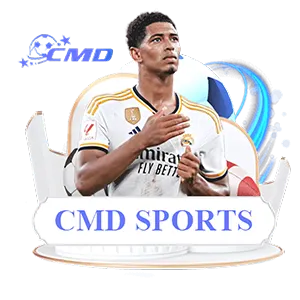 Trang chủ 31 cmd